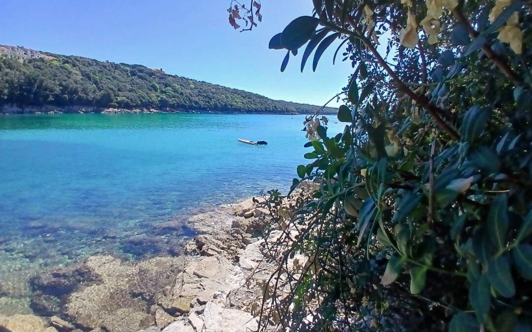 Izvanučionička nastava u Dugu Uvalu: Učenje u prirodi