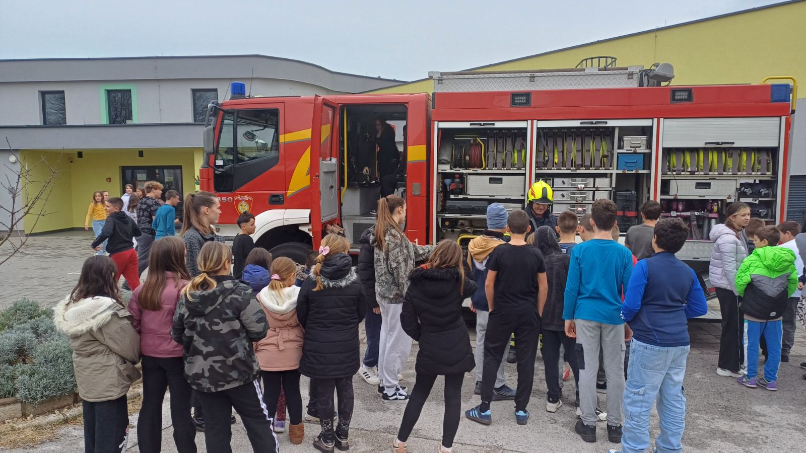 viber_image_2025-12-10_11-39-51-861