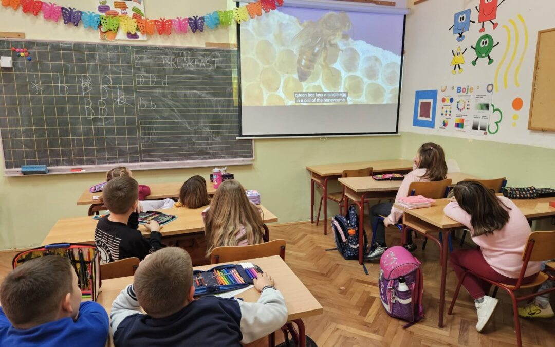 Medni dan u 1. razredu PO Loborika