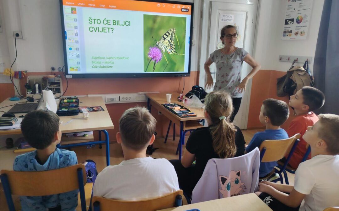 Izazov pčela – istraživačka igra SciMag projekta